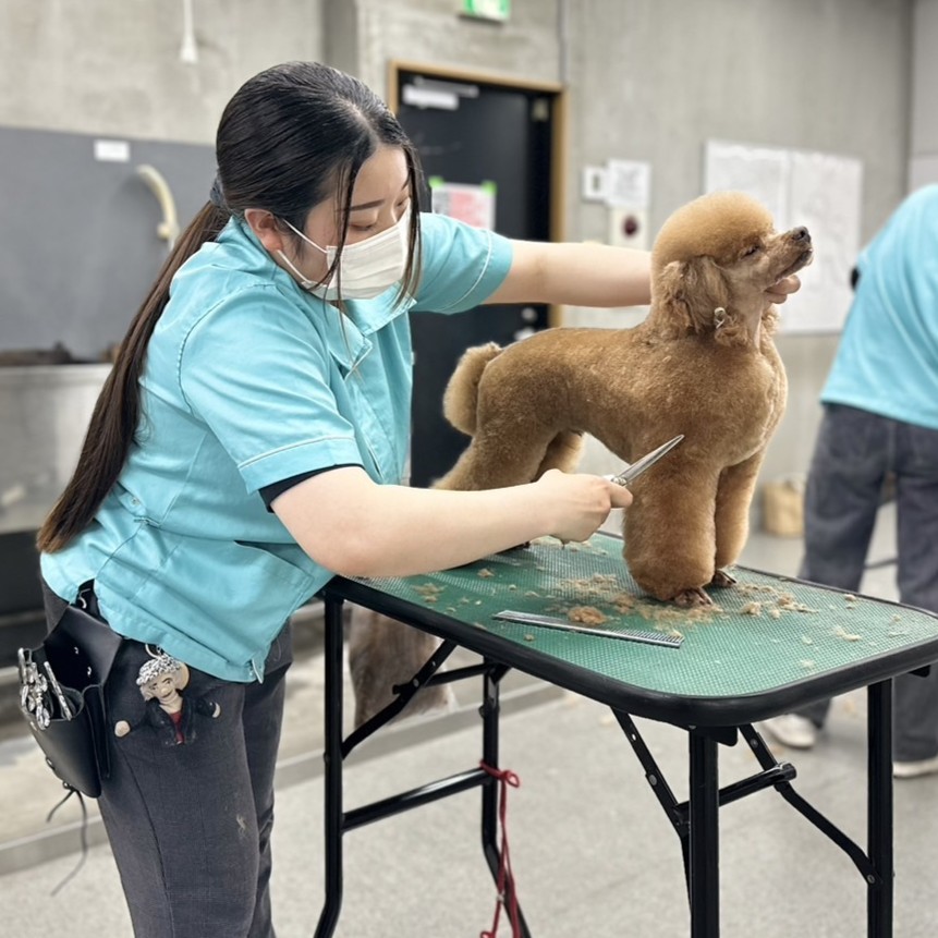 Video Thumbnail for ナンバペット美容学院