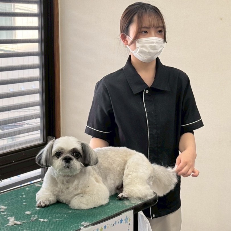 Video Thumbnail for ナンバペット美容学院